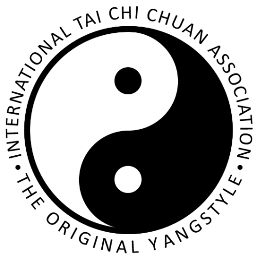 logo_itcca-410432694d54093ad7983a9361310410