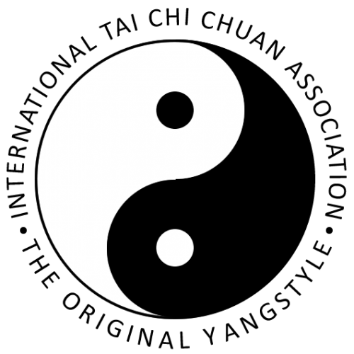 logo_itcca_black-31b8a1536266b42c5585e3e6b57a3eb4