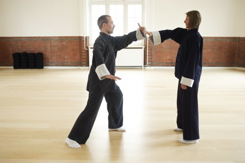 mdv_9903tai-chi-19-5c0717a17857d431d2d84a692a1b1aa1