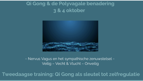 qigong-nanda-e40c9e9770604b73121849ba317e0fa5