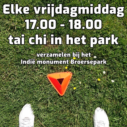 tai_chi_oefenles_park_amstelveen-8af6ee9c0b4f535ecb77450baf7f4ad3
