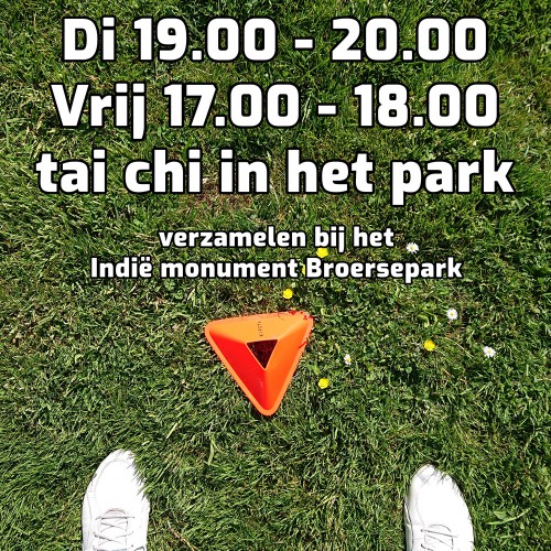 tai_chi_oefenles_park_amstelveen_2-ec2e703d298424d9816712f3def60a1e