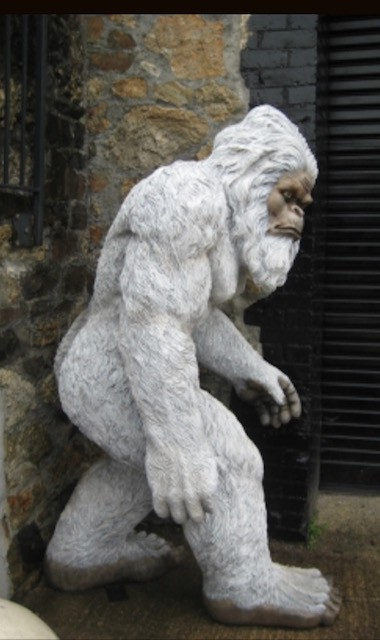 yeti_tai-chi-e96d20bd000b6c6d2e6370128688de5f